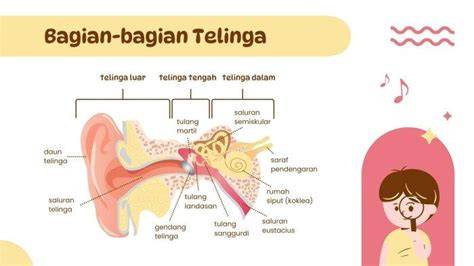 Arti Teling Bahasa Lampung nama unik terapi suara 401 streaming 4K lancar image 1