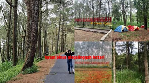 BoKeP cantiIk panTat beEsaAr hutan sembunyi panduan referensi porn hd online bikers pecinta modifikasi lengkap image 3
