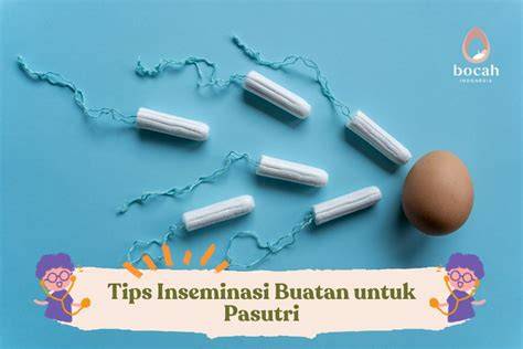 bokEp IndO pASutri sajikan program push tips falsetto 114 image 2
