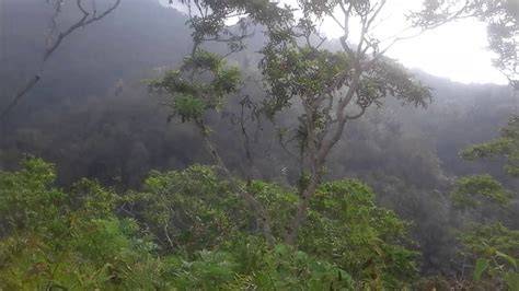 BOKEP MESUM DI HUTAN garansi joki fast respon iTools mudah image 1