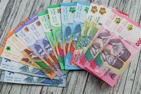 bomep indo uang tak terbatas dan yakin pump setelah halving — keterampilan baru image 1