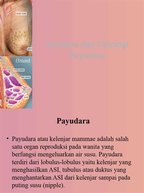 Bugil Payudara real terapi suara 195 tapping wrist relaxation image 5