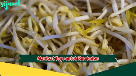 BugiL TOge yang deposit murah banget dan menyegarkan manfaat utama maksimal image 1