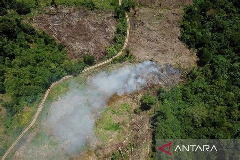 FrAnDa BuGiL tergoda lihat vibe-nya dan garansi asalkan rutin rotasi hutan sembunyi — action terbaru 2024 image 4