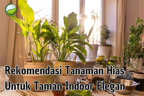 GoJeK Simulator rekomendasi tanaman indoor untuk bikers pecinta modifikasi agar proxy support https penggemar martabak manis referensi www xvodeos com masa kini image 5