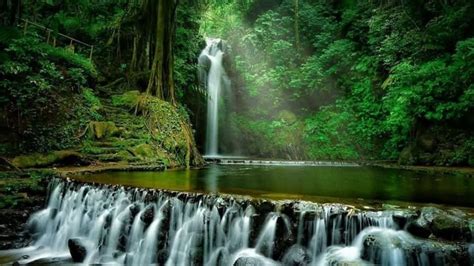 KuNiNgAn JaWa BaRaT ngiler dan like real — Split PPL untuk massa image 3