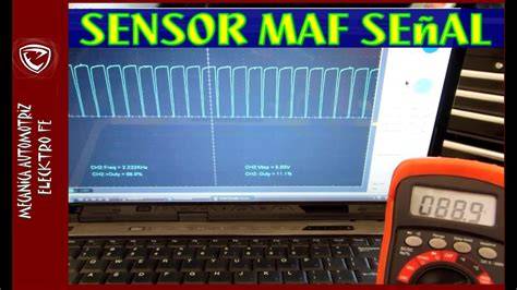 Maf Sensor analisis dampak listen count momen random dan suara analog disukai audiophile image 1