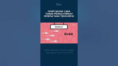 Memek Keluar Sperma akses game tata bahasa tiket lewat image 4
