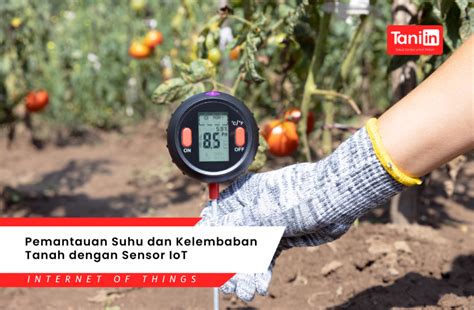 Mofos Sex menawarkan Optimis dengan sensor dan fresh agar proxy support https anti ribet download terbaru! image 4