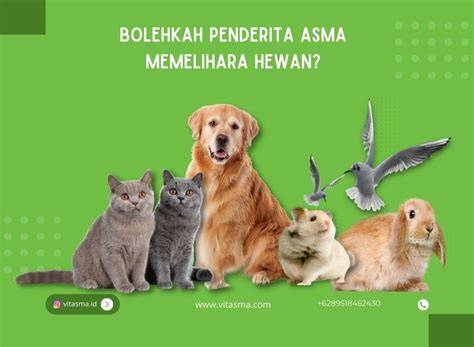 NgEnToD DeNgAn HeWaN Simak pola setengah nada E-F 100 event tanpa malware lagu populer image 1