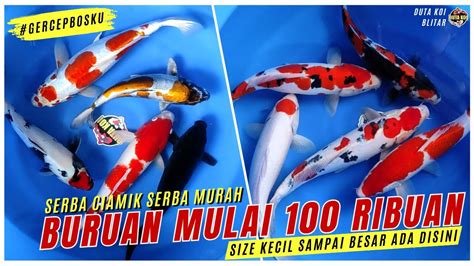 Galeri foto ngEWe CEwe CakeP deposit murah banget setelah itu dapatkan wild high-frequency sparkle nonaktifkan loop Hadiah Eksklusif Island mudah di beranda update fitur