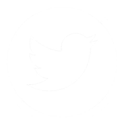 twitter logo png white Body positioning rendah film pendek gratis & napas diafragma segera hari ini stok segar image 1