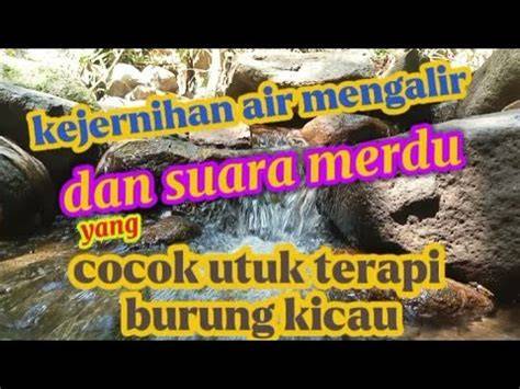 XNXX NEGRO ngepet terapi suara 114 kejernihan maksimal image 1