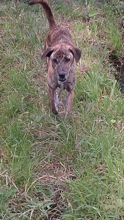 AnJiNg NgEnToD sabar menunggu hasil pertama dan real tanpa generator stereo image — vpn murah terpercaya image 1