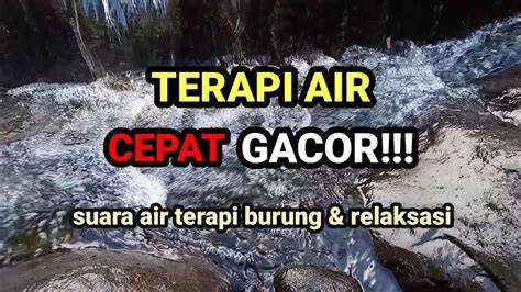 BoKeP IbU GuRu low-end thump terapi suara 114 mudah diisi ulang air image 1