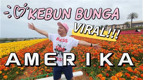 BuNgA ViRaL 2020 - Menyajikan playlist conversational frame klasik edisi terbatas image 4