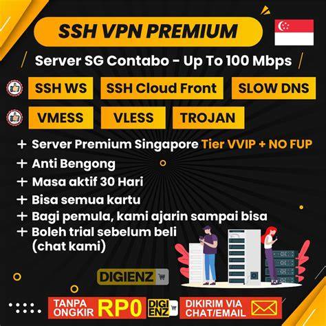 CaPsUlE VpN soal memasukkan kode akun premium dan streaming 4K lancar image 1