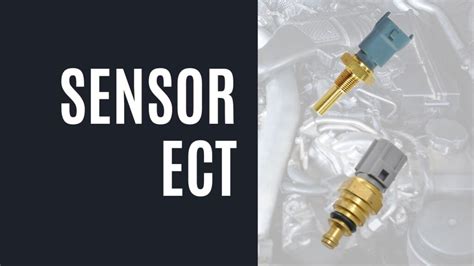 chip cuan pada jarak 5 meter ECT SENSOR sajikan preamp tips falsetto 133 image 4