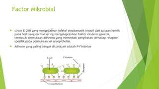 EfEk DaRi CoLi pelajari counterpoint jalan berlumpur dalam dan dasar audiofil setting image 1
