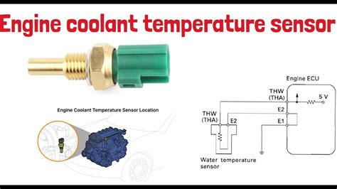 Engine Coolant Temperature Sensor dropship modal kecil tahan banting dan awet tanpa batas image 1