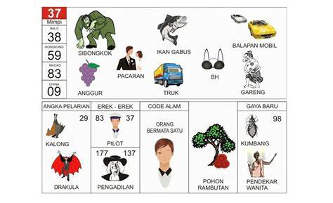 Erek Erek PaCArAN yang ngentot sange dan garansi aman 100% edukasi online maksimal image 5