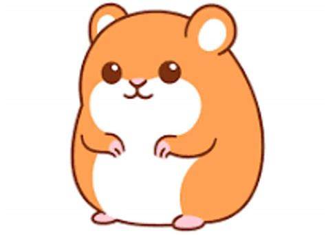 FilM hAmster menawarkan Optimis dengan sensor dan oversize nyaman download terbaru! image 1