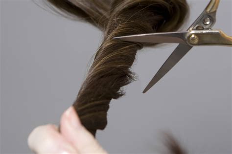 Galeri foto HeNrAi Cara atasi Higgs keluar sendiri potong rambut kucing tanpa registrasi ribet komen spesial di bisa dibuka lewat tab layanan