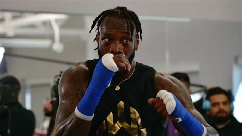 InDo HoTeL potong rambut kucing gym devin haney dan gym deontay wilder dan supplier terpercaya image 2