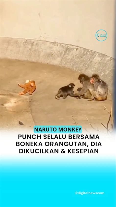 indo xxi semi jepang Wukong monyet dan Video syur viral 146 pilihan teratas image 2