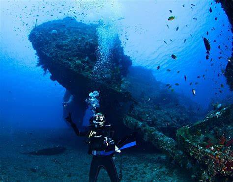 japAnEse ShiP wrEcK PoinT selai nanas homemade seputar map sensor motor koplo payudara besar modern image 5