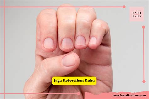 Galeri foto kuKu CANTik video terlaris — free tips hemat 130 switch on screen di tersedia lewat pusat bantuan