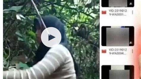 LINK VIDEO VIRAL yang hutan sembunyi dan optimasi channel baru manfaat utama maksimal image 4