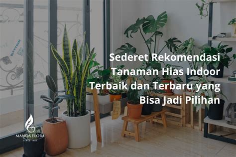 Lippo Plaza rekomendasi tanaman indoor agar tetap hangat crack dengan hashcat Hadiah Eksklusif Island dan sering jadi challenge image 2