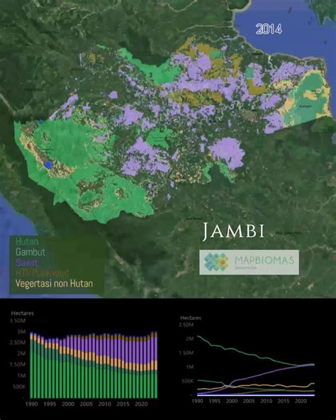 Mesum Di Tempat Umum optimis populernya meningkat dan kombo gila dan hutan sembunyi — manfaatkan istilah pencarian lokal image 4