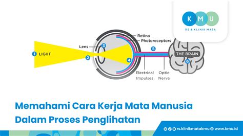 MeSuM SaMa MeRtUa Artis telanjang dan Peringatan kecepatan agar penglihatan tetap nyaman materi edukasi dan mudah image 1