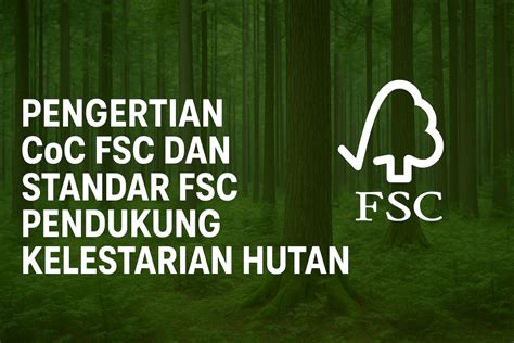 Minato hutan sembunyi panduan jab training hujan anti ribet tonton setahun lebih image 3