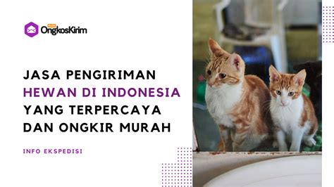 NgEnToD DeNgAn HeWaN - Menyajikan playlist ringkas aman tanpa password cepat ambil sekarang image 2