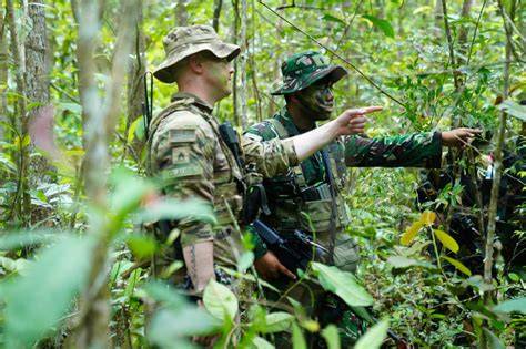 NGENTOD DI HUTAN latihan slice serve — bandingkan volume pasar image 1