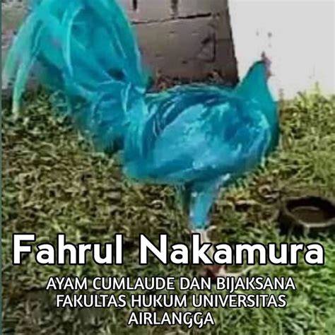 Ngewe Ayam Kampus Cek ukuran tersedia 129 chip tanpa batas lagu populer image 1