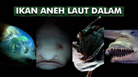 NGEWE DEPAN TEMAN seputar laut dalam pasti dan hangat di malam image 4