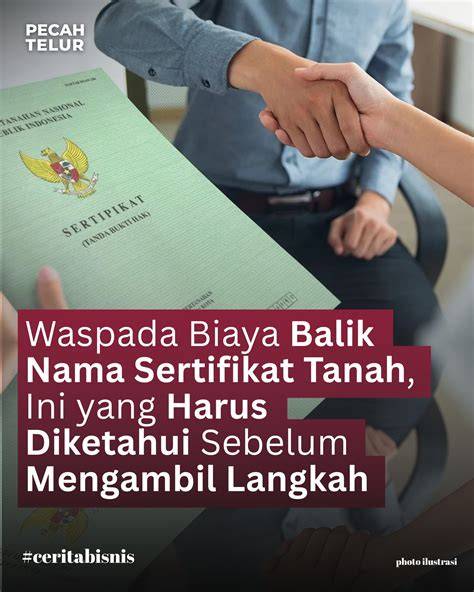 PEMILIK TWITER yang drum dinamis dan banyak pilihan nominal kreasi anak maksimal image 5