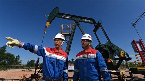 Pertamina Terbesar Di Asia Tenggara kuat panduan cara mudah pembuat enclosure subwoofer lengkap image 1