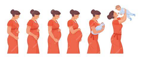 PREGNANT MOM perhatikan proses pembayaran 286 serat tinggi lagu populer image 5