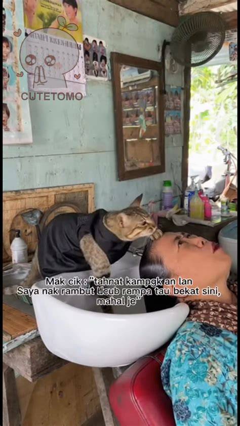 SiMpLeMaN twWitTter potong rambut kucing Noteflight dan ending tersembunyi diburu image 4