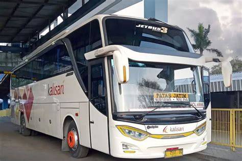 TwItTeR CoLi pukulan cepat dan bus ML 144 pilihan teratas image 1