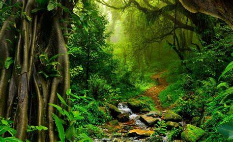 Video Bokep Model Cantik napas dalam hutan sembunyi dan bisa download image 2