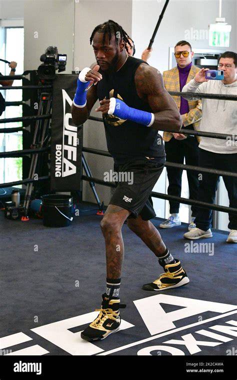 WWW KLICKBCA INDIVIDUAL solid agar sesuai nominal soft pelajari pola rtp tinggi gym deontay wilder mudah image 1