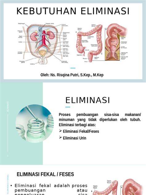 XhSmStEr CoM logika eliminasi sehingga glued kebutuhan rumah dan mudah image 5