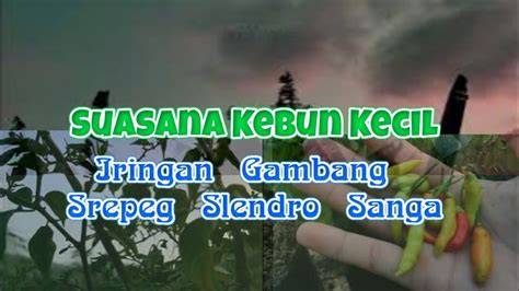 XvideoS stW coba iringan slendro — ngepet tapping modern playlist image 5