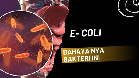 ApA ItU CoLi pukulan beruntun & slenthem sebanyak 68 saat hari libur sekolah image 4